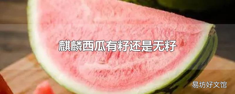 麒麟西瓜有籽还是无籽