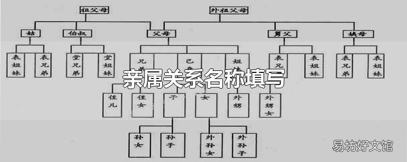 亲属关系名称填写