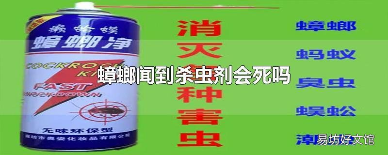 蟑螂闻到杀虫剂会死吗