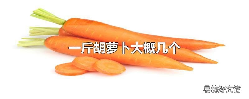 一斤胡萝卜大概几个