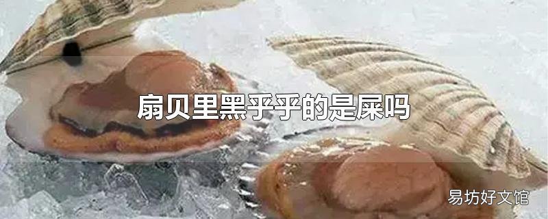 扇贝里黑乎乎的是屎吗