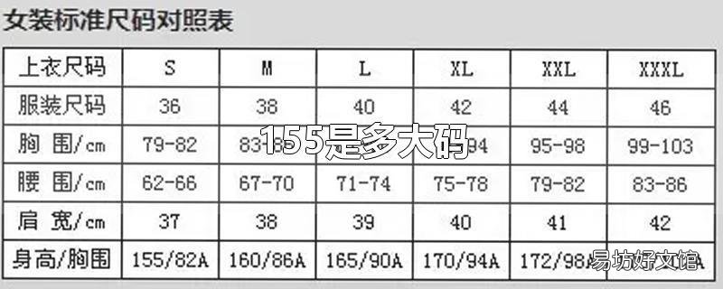 155是多大码