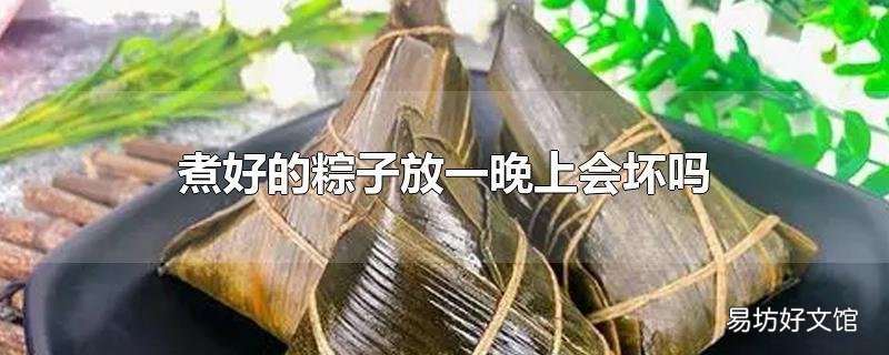 煮好的粽子放一晚上会坏吗