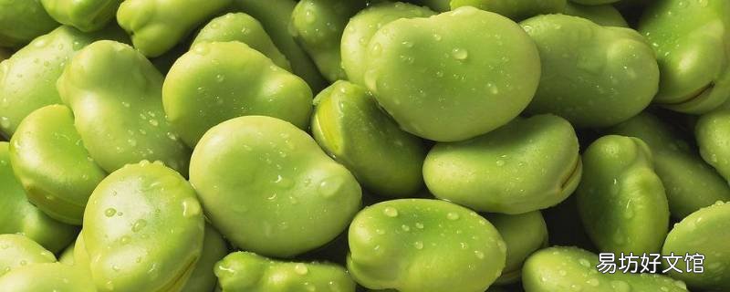 青蚕豆放冰箱怎么保存