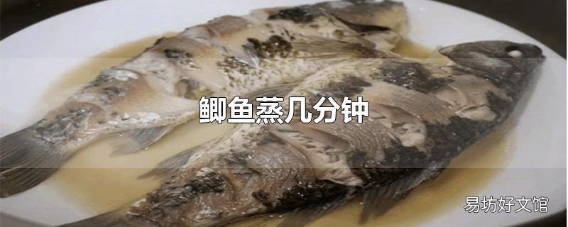鲫鱼蒸几分钟