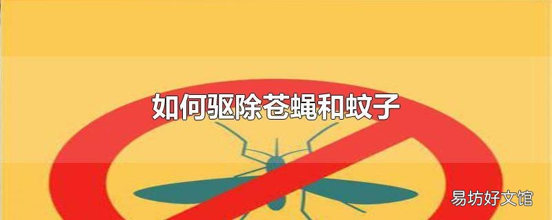 如何驱除苍蝇和蚊子
