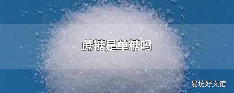 蔗糖是单糖吗