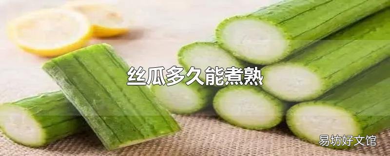 絲瓜多久能煮熟