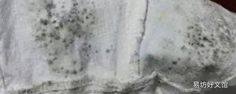 衣服受潮長了斑點怎么辦