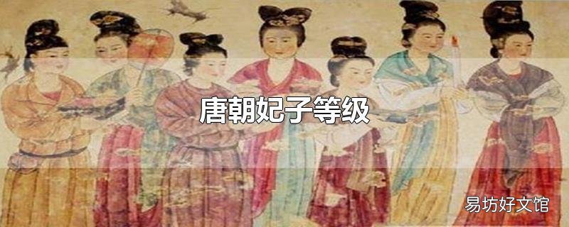 唐朝妃子等级