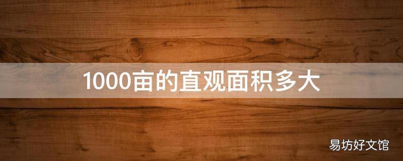 1000亩的直观面积多大