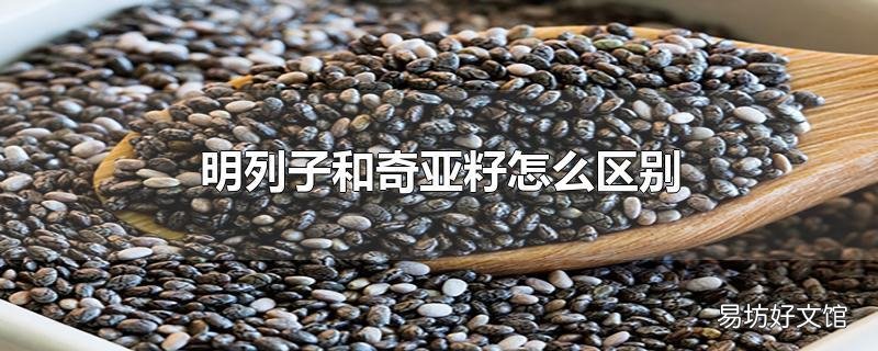 明列子和奇亚籽怎么区别