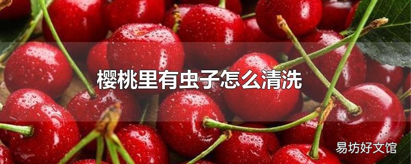 樱桃里有虫子怎么清洗