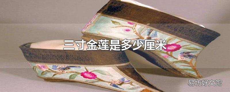 三寸金莲是多少厘米