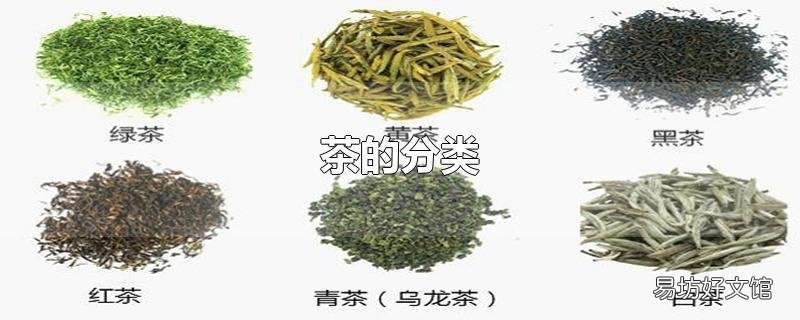茶的分类