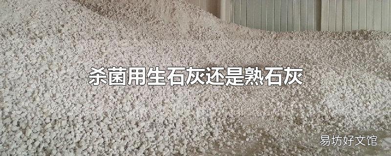 杀菌用生石灰还是熟石灰