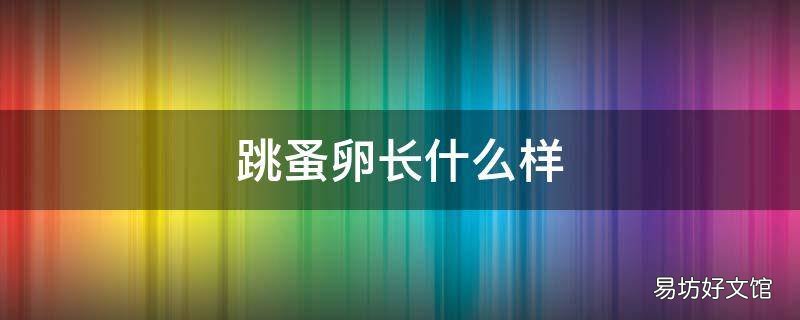 跳蚤卵长什么样