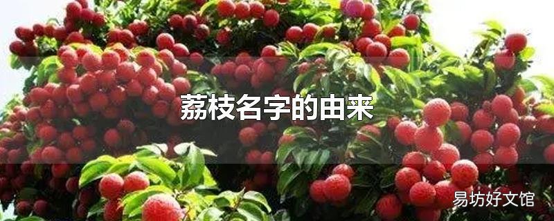 荔枝名字的由来