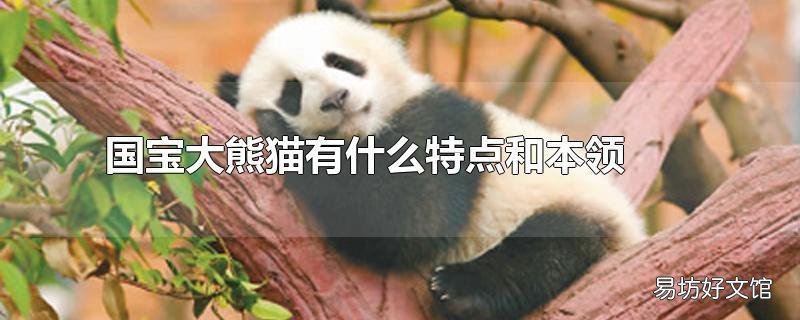 国宝大熊猫有什么特点和本领