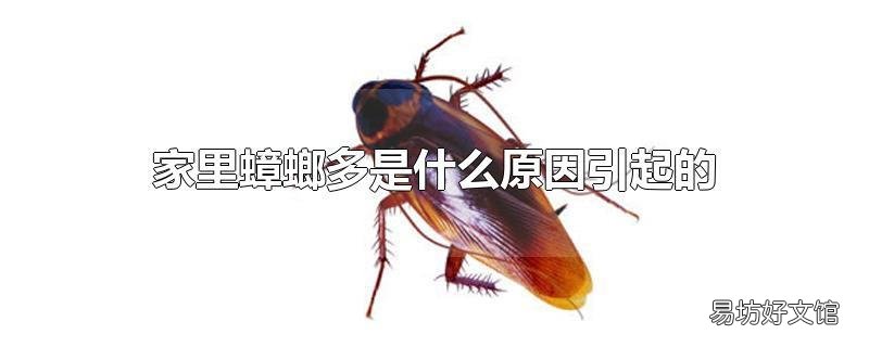 家里蟑螂多是什么原因引起的