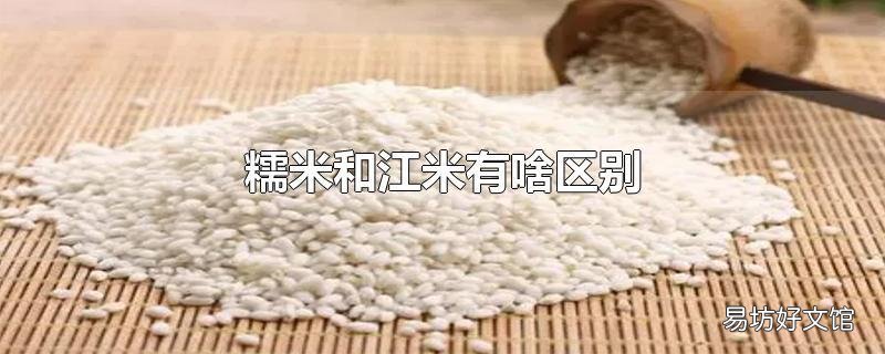 糯米和江米有啥区别