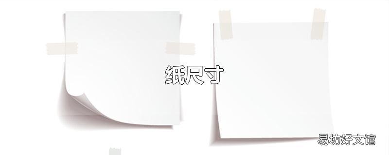 纸尺寸