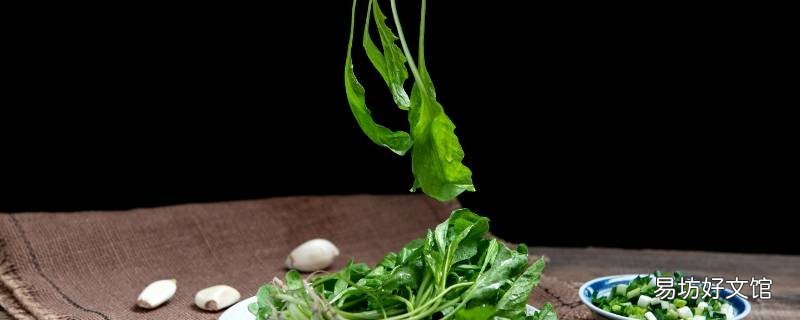 野菜怎么保存又鲜又不烂