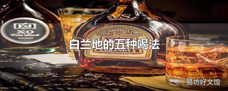 白兰地的五种喝法