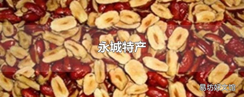 永城特产