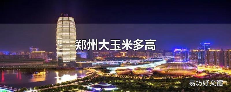郑州大玉米多高