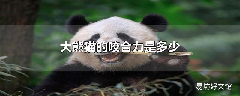 大熊猫的咬合力是多少