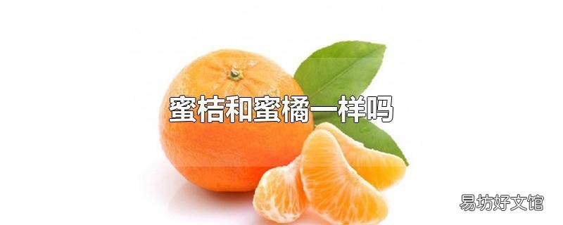蜜桔和蜜橘一样吗