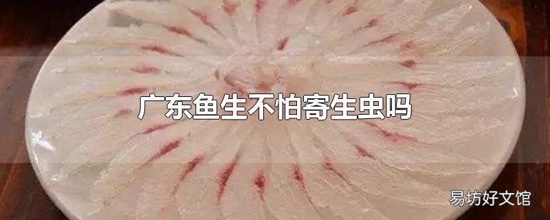 广东鱼生不怕寄生虫吗