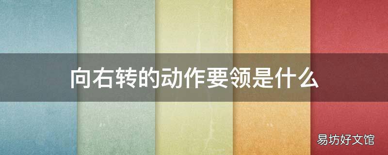 向右转的动作要领是什么
