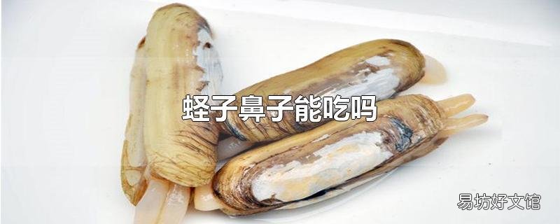 蛏子鼻子能吃吗