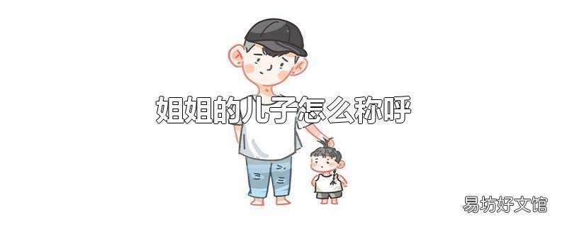 姐姐的儿子怎么称呼