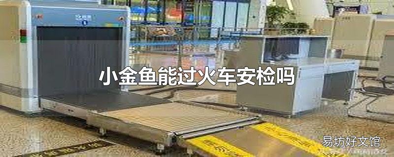 小金鱼能过火车安检吗