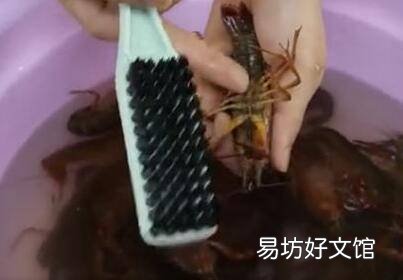 龙虾处理方法