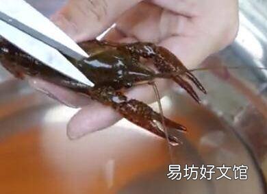 龙虾处理方法