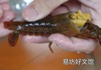 龙虾处理方法