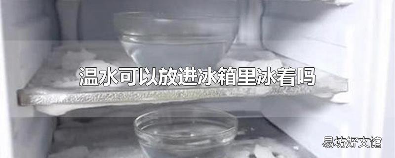 温水可以放进冰箱里冰着吗
