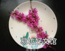紫花地丁炒鸡蛋怎么做