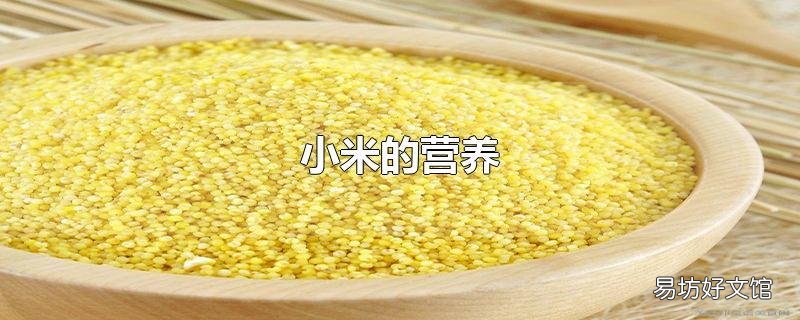 小米的营养