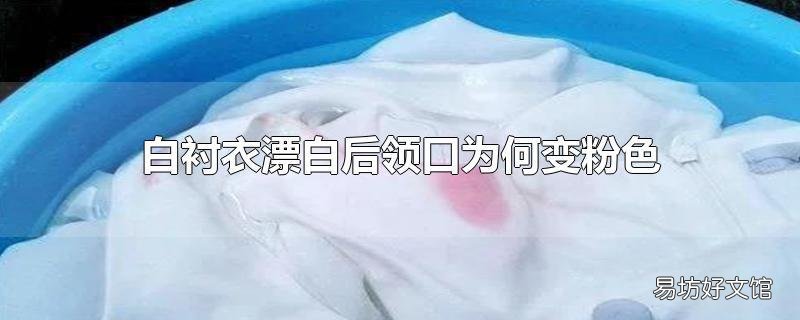 白衬衣漂白后领口为何变粉色