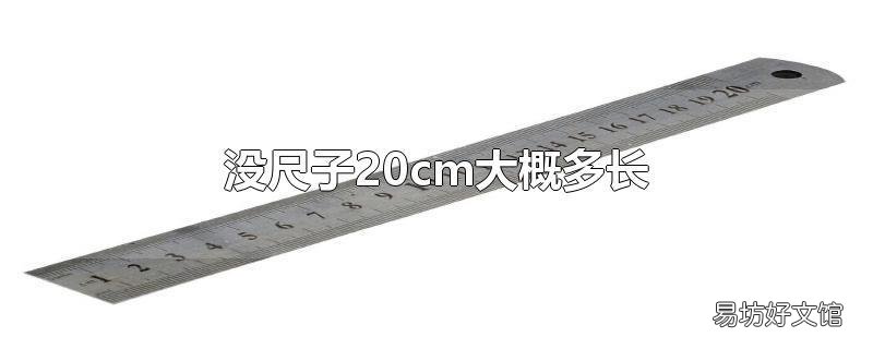 没尺子20cm大概多长