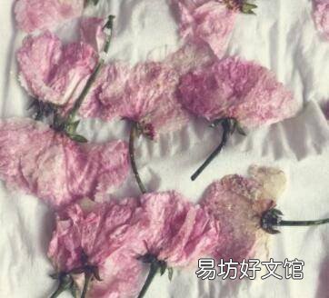 樱花茶怎么制作方法