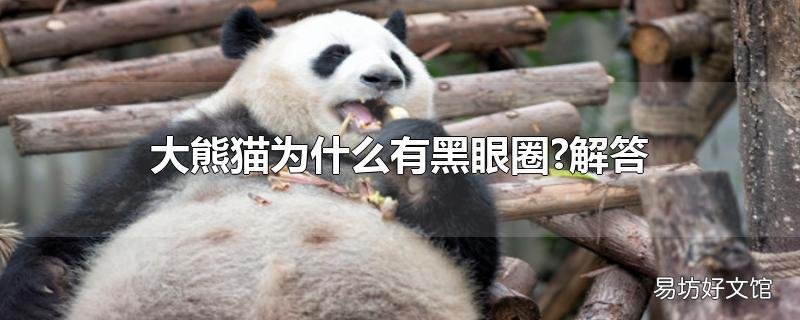 大熊猫为什么有黑眼圈?解答