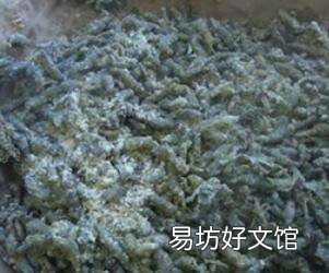 蒸枸桃穗的做法