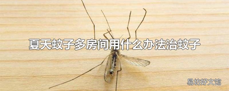 夏天蚊子多房间用什么办法治蚊子