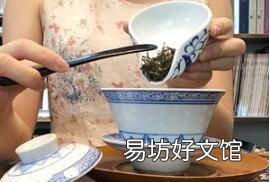 正确泡绿茶的步骤是什么
